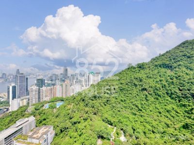 [中半山] 中半山 Bowen's Lookout