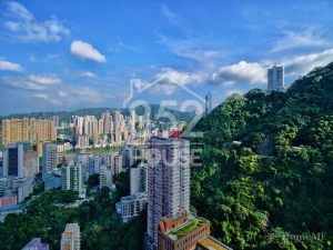 [東半山] 東半山 竹林苑