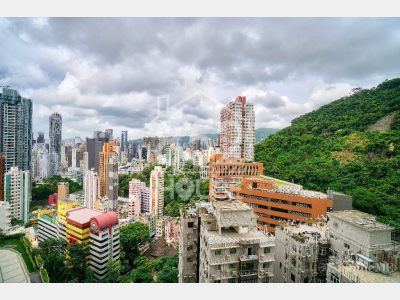 [東半山] 東半山 竹林苑