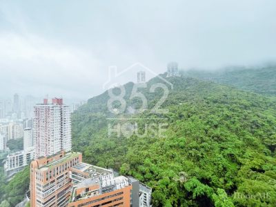 [東半山] 東半山 竹林苑