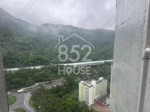 [馬鞍山] 【 白居二/綠表 】罕有筍盤~市場焦點~