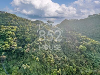 [中半山] 中半山 騰皇居II