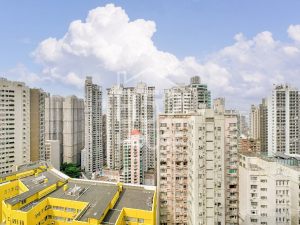 [西半山] 西半山 明珠台