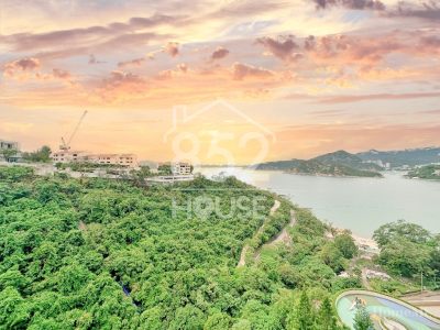 [淺水灣] 淺水灣 Belgravia