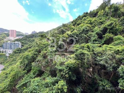 [跑馬地] 跑馬地 嘉苑