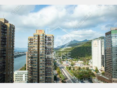 [沙田] 開揚高層三房出租, 特大主人房, 全新裝修, 91沙田校網