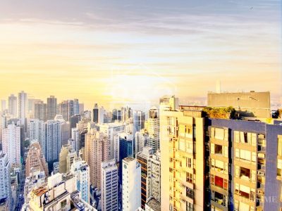 [上環] 上環 聚賢居