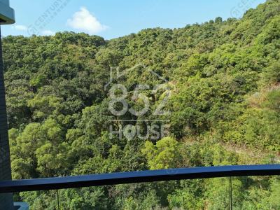 [沙田] 九肚半山, 大單邊三房