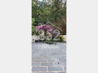 [大埔] 龍成堡  連花園 車位