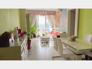 [火炭/九肚山] 罕有東南3房高層