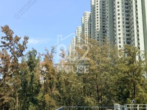 [馬鞍山] 薈朗 全屋苑最大一房 非常實用 巨大主人房