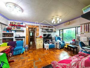 [粉嶺] 罕有放盤 巨廳房大