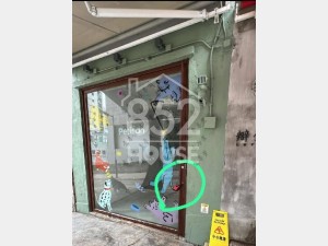 [上環] 鬧市藏珍，優皮一族